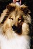 Profile picture of the animal